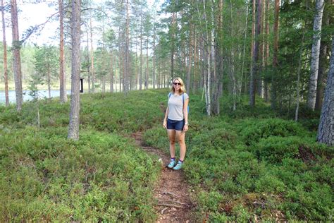 Swedish Lapland in summer: the best outdoor travel tips! - Travelwriter.nl