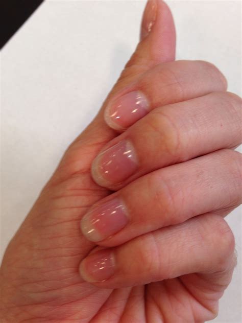 Clear shellac manicure | Shellac manicure, Pink shellac, Manicure