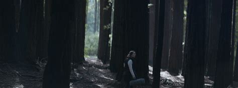 Blackwood - Short film on Behance