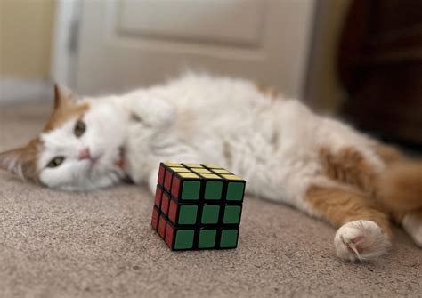 Rubik's Cube Solver : 9 Steps (with Pictures) - Instructables