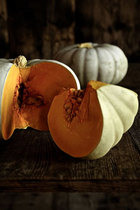 Pumpkin Harvest on Behance