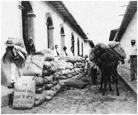 Historia del Café en Colombia