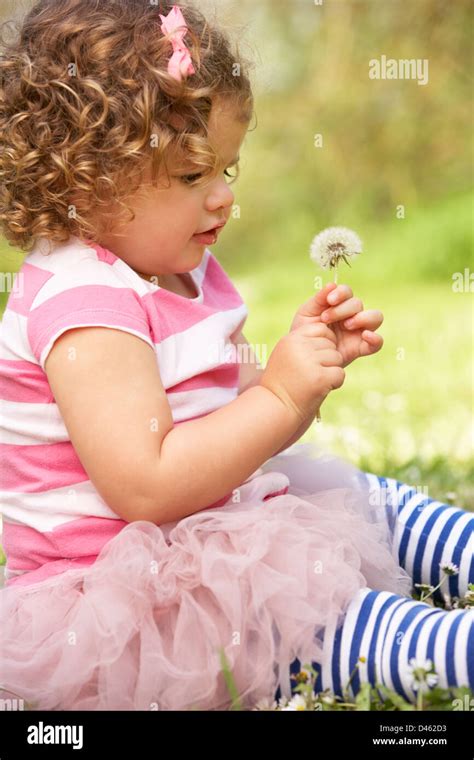 Young Girl In Summer Dress Sitting In Field Blowing Dandelion Stock Photo - Alamy