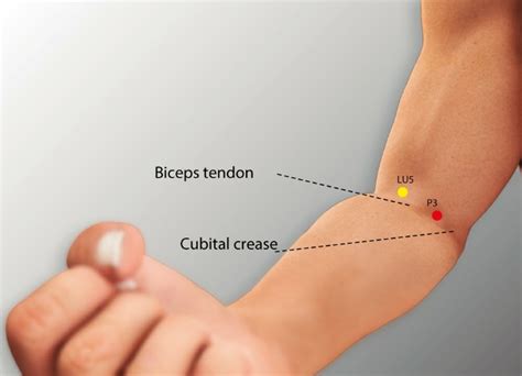 P 3 - QUZE Pericardium Meridian Acupuncture Point | AcuMeridianPoints