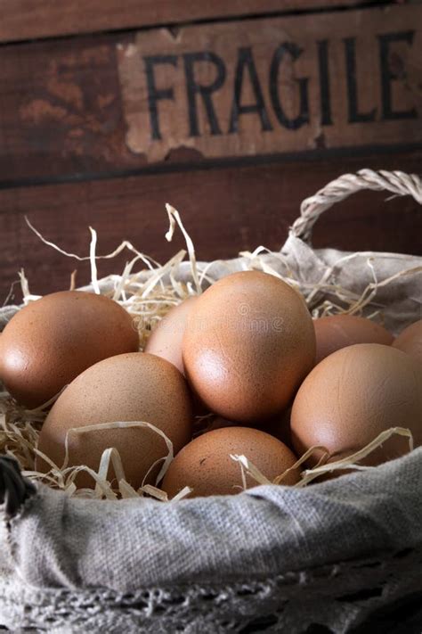 Fresh organic farm eggs stock image. Image of albumen - 169880955