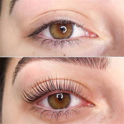 Lash Lift Before and After Pictures - Best Transformations