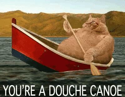 Youre A Douche Canoe GIF - Cat YoureADoucheCanoe Paddling - Discover ...