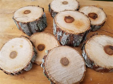 Mini Hickory Slices, Log Slices, DIY Crafts, Live Edge Wood, Rustic ...