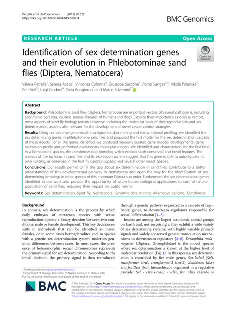 (PDF) Identification of sex determination genes and their evolution in Phlebotominae sand flies ...