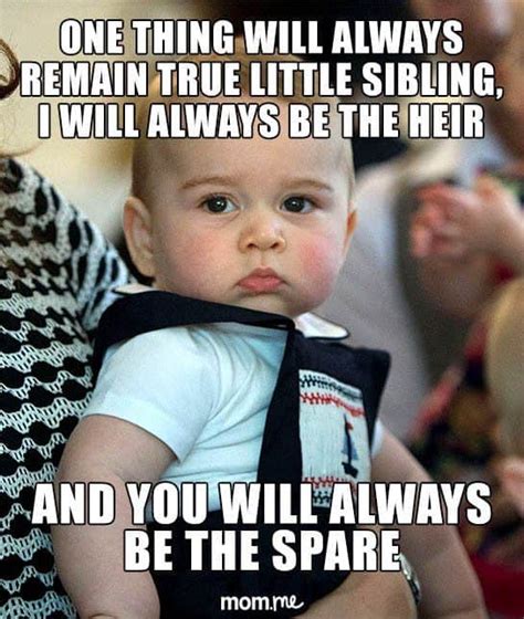 30 Funny Brother Memes To Troll Your Sibling With - SayingImages.com