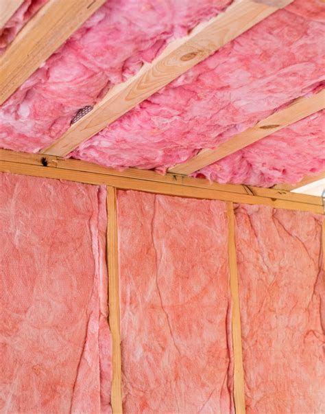 Ceiling Batt Insulation | ubicaciondepersonas.cdmx.gob.mx