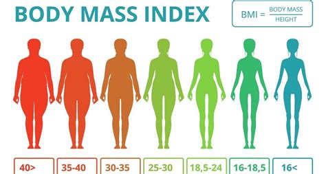 Tính BMI - Chỉ Số Khối Cơ Thể - Net Bảo Hiểm