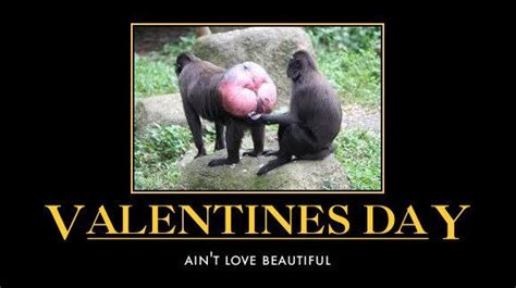 valentines sarcastic - Google Search | Single quotes funny, Valentines ...