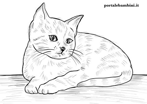 Disegni di Gatti da Colorare | portalebambini.it