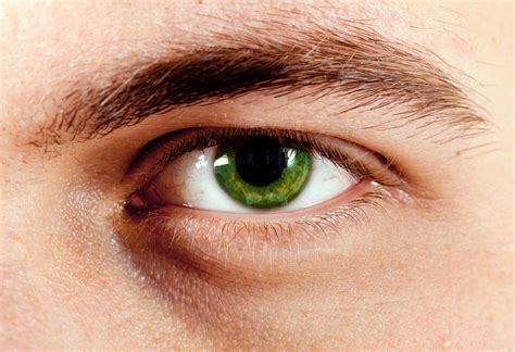 Green Eyes: Learn Why People Who Have Them Are So Unique! | Guy Counseling