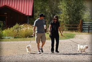 Pet Friendly! - Rio Colorado Cabins