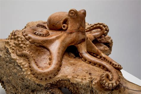 Octopus | Carved Wood Octopus Sculpture | Laguna Beach