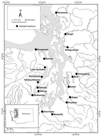 Distribution and seasonal differences in Pacific Lamprey and Lampetra spp eDNA across 18 Puget ...
