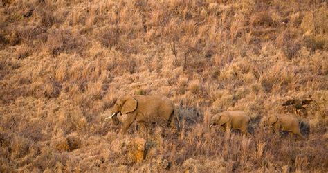 Pilanesberg National Park | Safari in South Africa