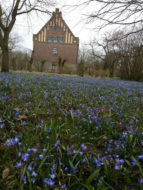 Botanical Garden Lund Lund, Scandinavia, Botanical Gardens, Sweden, House Styles, Places ...