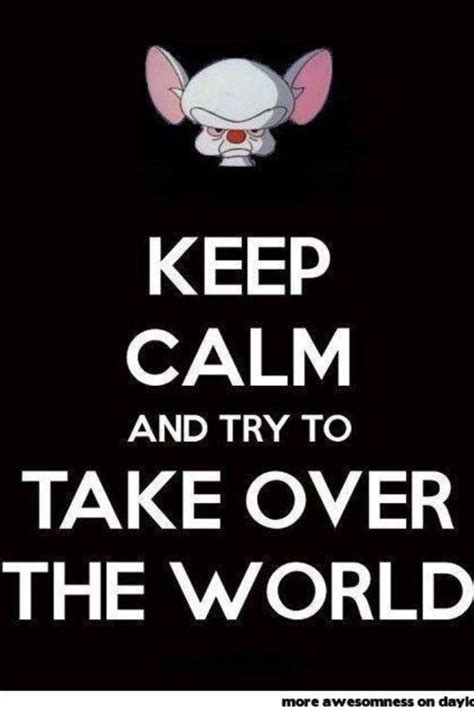 17 Best images about Pinky and the Brain on Pinterest | Nostalgia, Best cartoons and Grumpy cat