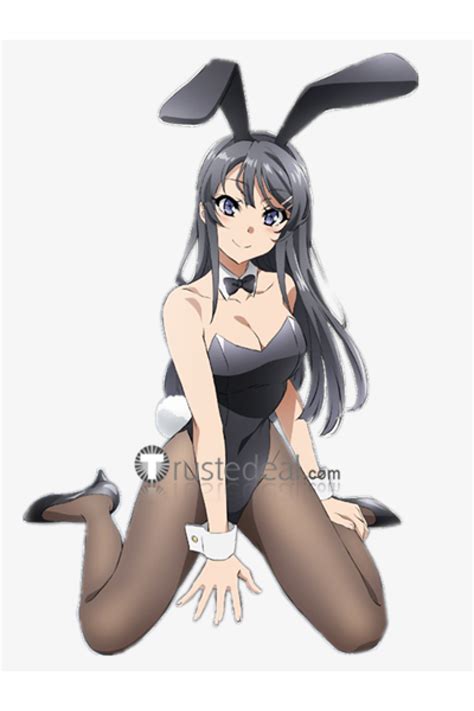 Rascal Does Not Dream of #Bunny Girl Senpai #Mai #Sakurajima # ...