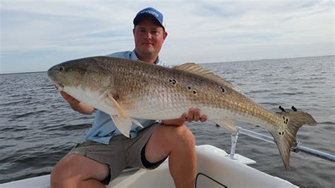 Giant Bull Red Drum Fishing on the Pamlico Sound - YouTube