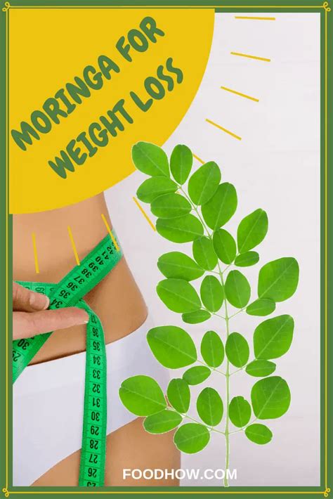 How To Use Moringa For Weight Loss - Dosage And Instructions