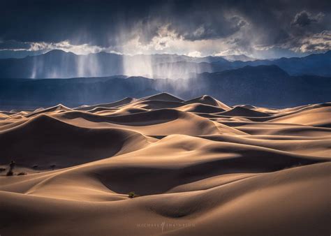 New Projects - Michael Shainblum Photography