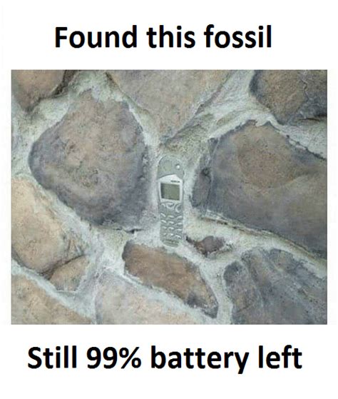 Found This Fossil | Bones funny, Funny jokes, Really funny