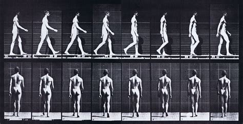 Walking reference:male Figure Drawing Poses, Body Pose Drawing, Drawing Reference Poses ...