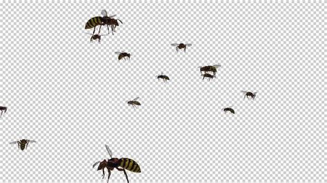 Swarm Wasps Flying Around 4K Download Direct Videohive 20839299 Motion ...