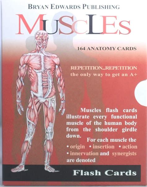 The Muscles (Flash Cards) (Flash Anatomy): Flash Anatomy, Flash Anatomy: 9781878576002: Amazon ...