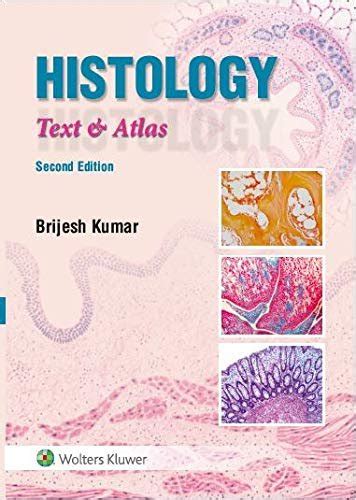 Histology A Text And Atlas 2nd Edition By Brijesh Kumar » WishAllBook ...