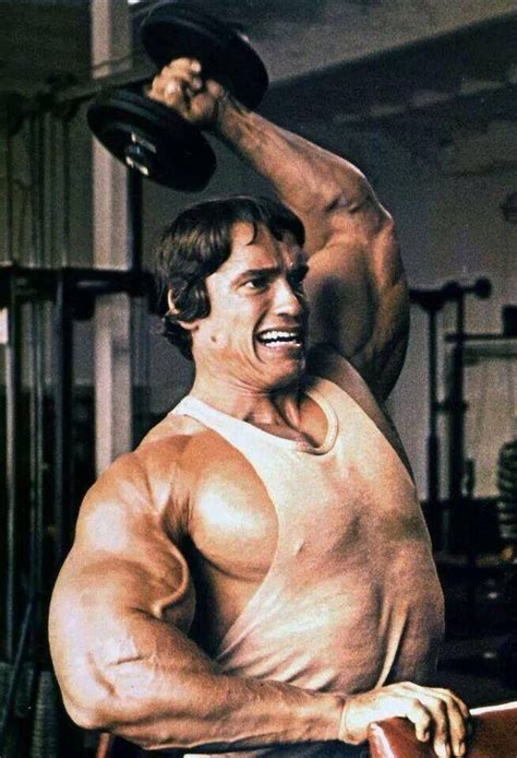 Arnold Schwarzenegger Triceps Workout