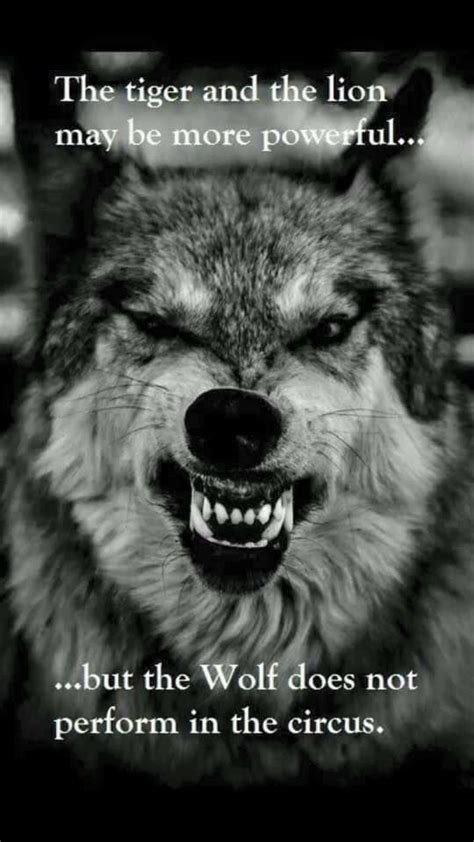 17 Best images about spirit of the wolf within me on Pinterest | Wolf quotes, Be strong and ...