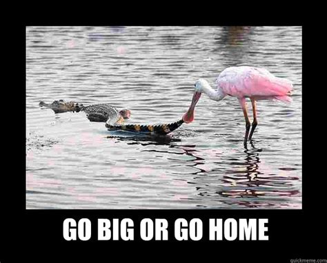 Go Big or Go Home memes | quickmeme