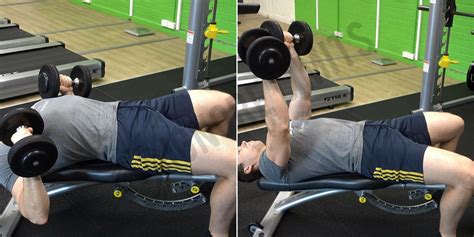 How To: Decline Dumbbell Bench Press - Ignore Limits