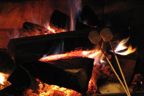 Roasting Marshmallows for Two | Roasting marshmallows is fun… | Flickr