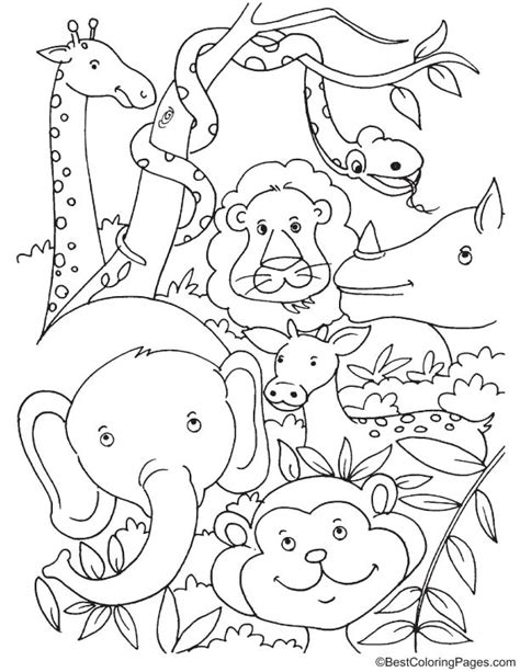 Tropical rainforest animals coloring page | Download Free Tropical ...