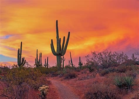 Colorful Orange Desert Sunset Landscape Along Hiking Trail Photograph by Ray Redstone - Pixels