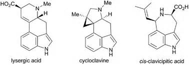 Ergot alkaloids: synthetic approaches to lysergic acid and clavine alkaloids - Natural Product ...