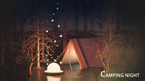 The Camping Night on Behance