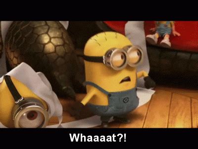 Despicable Me Minions GIF - Find & Share on GIPHY