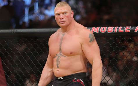 Brock Lesnar: Brock Lesnar MMA record: Looking into the biggest ...