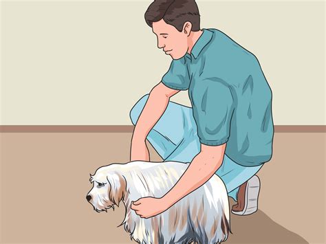 4 Ways to Train an Adult Dog - wikiHow