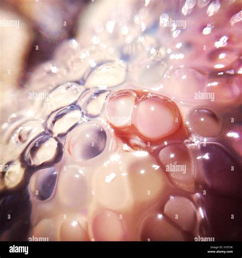 Jellyfish sting skin hi-res stock photography and images - Alamy