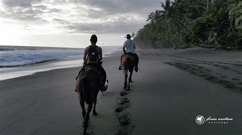 Beach Horseback riding, tips for an unforgettable experience