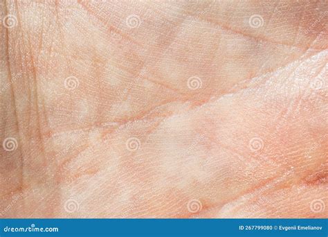 The Texture of the Skin of the Hand. Stock Photo - Image of macro, textured: 267799080