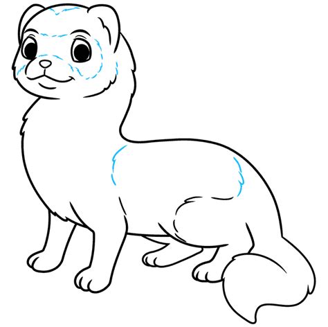 How to Draw a Ferret - Really Easy Drawing Tutorial